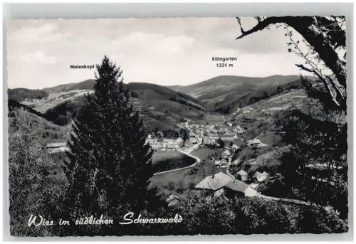 Wies Maienkopf Köhlgarten