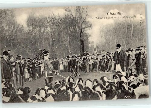 60500 Chantilly 1921 - Jäger Hunde
