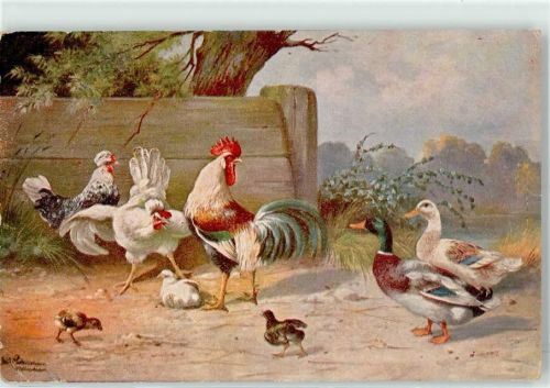 Hahn Huhn Küken Ente