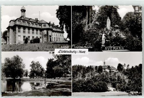 Liebenburg Schloß