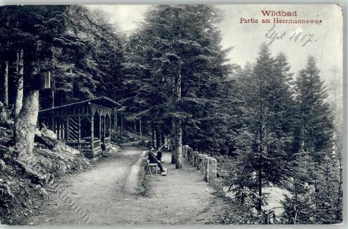 Wildbad Partie am Heermannsweg