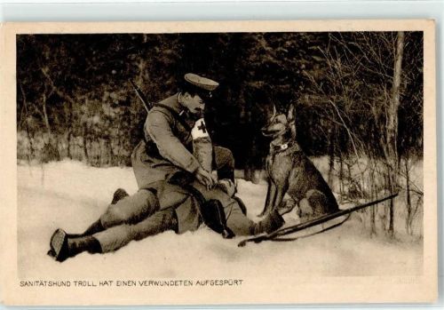 W2440 Oldenburg in Holstein WK I Kriegsverwundeter Soldat Rotes Kreuz Winterszene Sanitätshund
