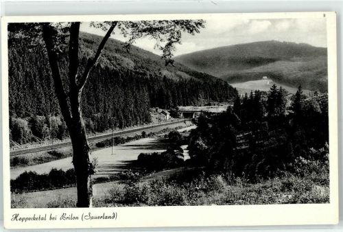 Brilon Hoppecketal Bahnstrecke Brücke AKU2