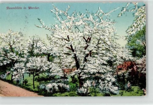 Werder