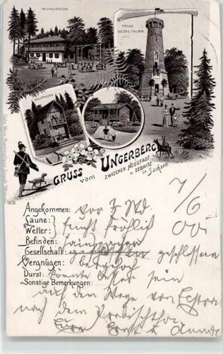 Neustadt 1900 Gasthaus Prinz Georg Turm Waldfrieden Ungerberg