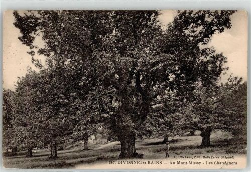Divonne-les-Bains