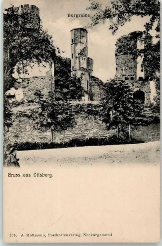 Dilsberg Burgruine