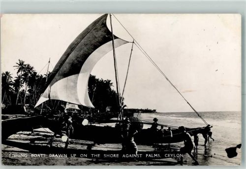 Fishing Boats drawn up on the Shore against Palms