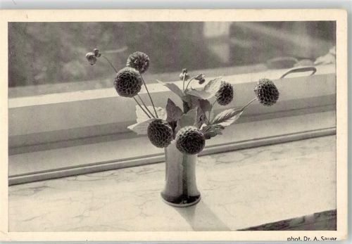 Zwingenberg Blumen in Vase