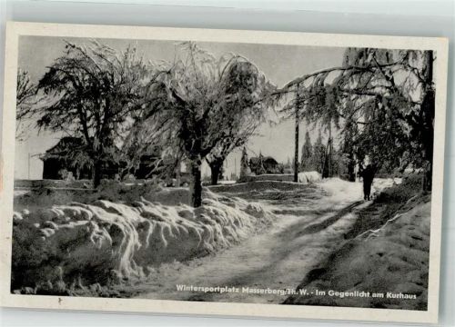 Masserberg Winter