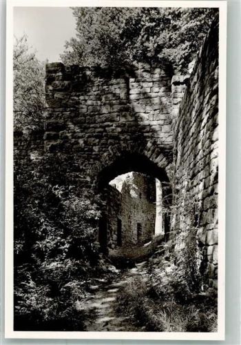 Neubulach Burgruine Waldeck