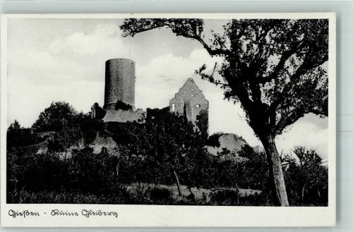 Gießen Ruine Gleiberg