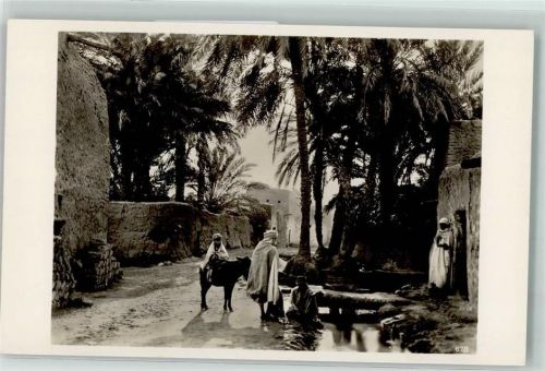 Araberdorf Arabien village palmen Essel Volkstypen