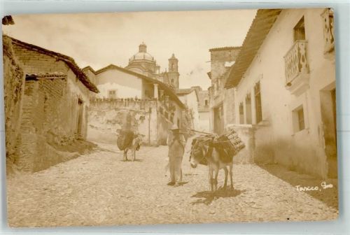 Taxco Lastenesel
