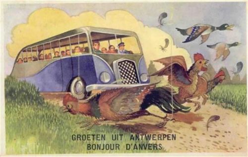 Antwerpen Antwerpen (Belgien) Leporello Omnibus, Hühner, Enten I-II