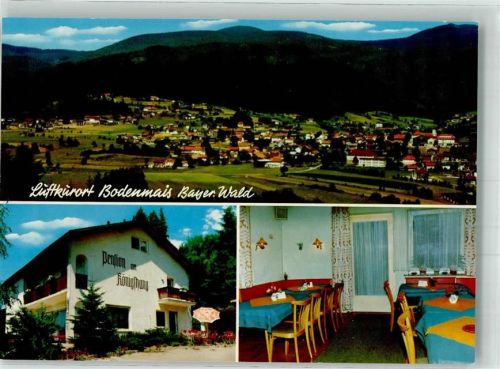 Bodenmais Pension am Königshang Fotograf Eiglsperger