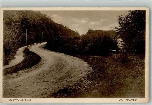 Schwarzenbek 1931 Waldpartie