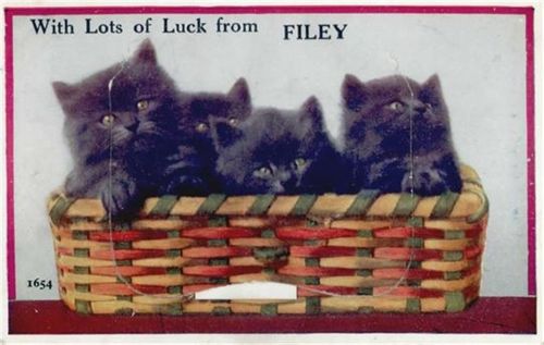 Filey Filey (Großbritannien) Leporello Katzen II (Einriss bei Leporello-Abdeckung)