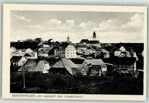 Grafenhausen Panorama des Ortes mit Rathaus und Pfarrkirche St. Fides