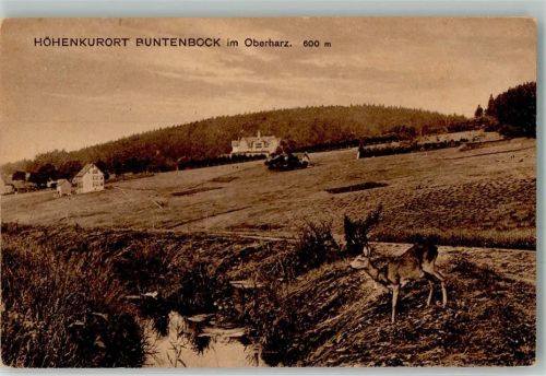 38678 W3392 Buntenbock - Reh