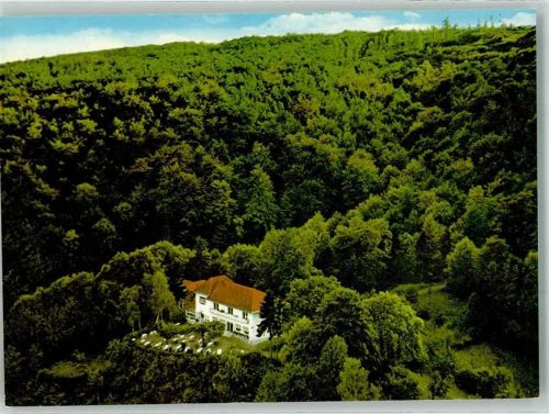 Bad Sooden-Allendorf Fliegeraufnahme vom Waldcafe Pension Westerburg