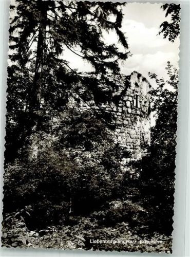 38704 W3384 Liebenburg Foto AK Denkmal Schulturm