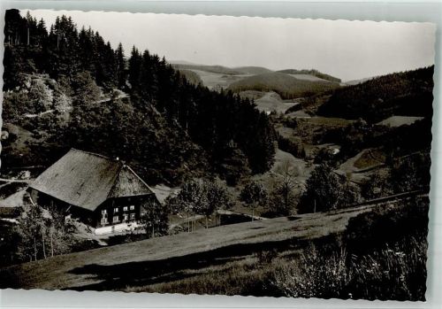 Triberg Schwarzwaldhaus im Nußbachtal