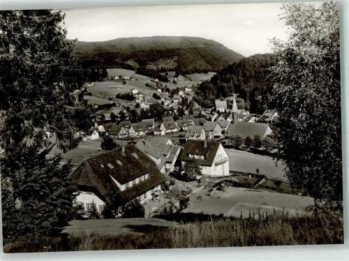 Buhlbach Panorama des Ortes mit Ev. Kirche