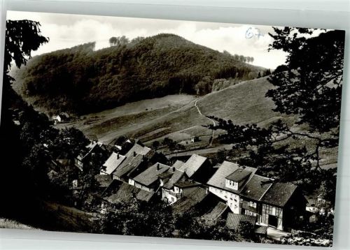 Lonau Panorama des Ortes