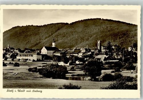 Furth im Wald Panorama des Ortes mit Stadtpfarrkirche Mariä Himmelfahrt und Dieburg