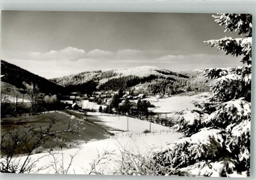 Willingen Ortsteil Stryck im Winter Fotograf Werner