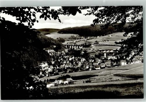 Willingen Panorama des Ortes mit Itterbrücke Fotograf Werner