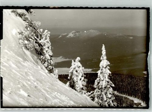 Lam Der Osser im Winter Foto Original aus Archiv eines Ansichtskartenverlages Ort handschriftlich
