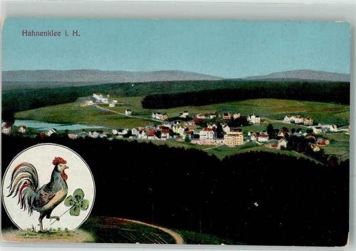 Hahnenklee Panorama des Ortes Hahn mit Glücksklee Verlag Lederbogen Nr. 312