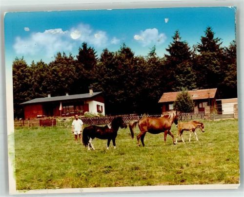 Weiskirchen Pferde Foto Original aus Archiv eines Ansichtskartenverlages Ort handschriftlich