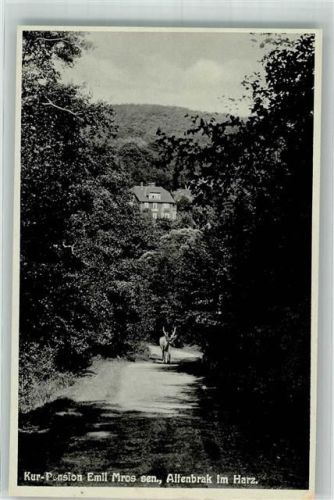 Altenbrak 1934 Pension Mros
