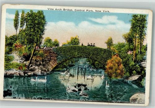 New York City Vine Arch Bridge Central park