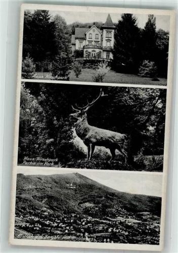 Alsbach Haus Hirschpark Panorama des Ortes mit Melibokus Verlag Wilhelm Gerling Nr. 5094
