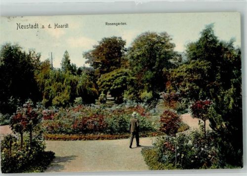 Neustadt 1912 Rosengarten