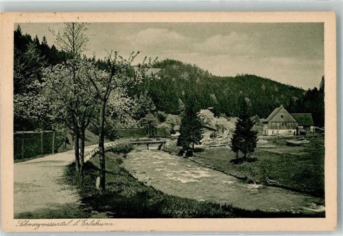 Erlabrunn 1926 Gasthaus sommerfrische