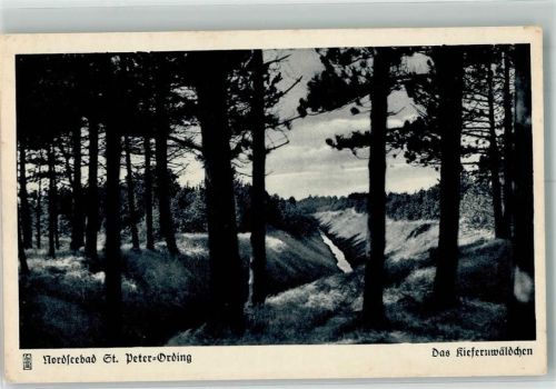 St. Peter-Ording Das Kiefernwäldchen Verlag Fangmeier Nr. 3