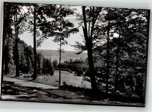 Willingen Foto Original aus Archiv eines Ansichtskartenverlages