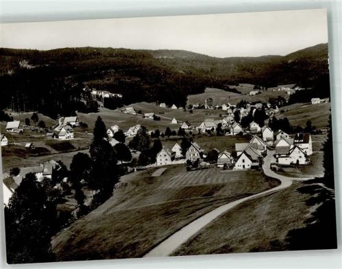 Buhlbach Panorama des Ortes