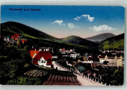 Neustadt 1920 Panorama des Ortes
