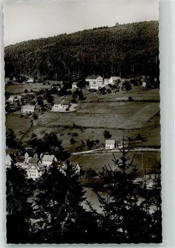 Baiersbronn Pension Schönblick