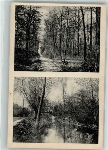 Wolfen Weg zum Waldhaus Zöckeritz Kreis Bitterfeld
