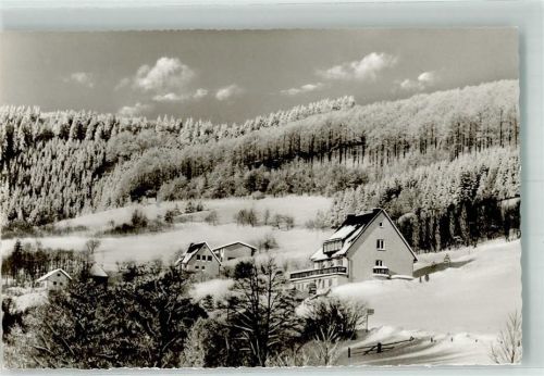 Willingen Winter Hotel Pension Lärchenhof