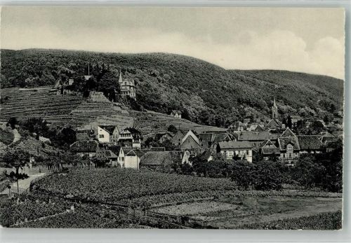 Haardt Panorama des Ortes mit Ev. Kirche und Haardter Schlösschen Fotograf Michel