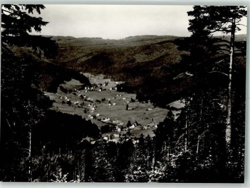 Buhlbach Panorama des Ortes
