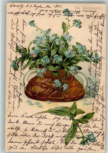 1903 Vergissmeinnicht